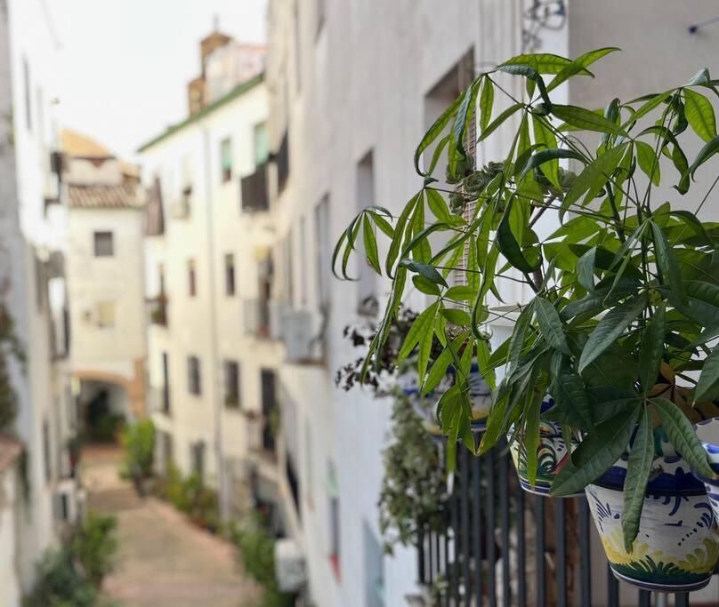 Apartamento Kenza قرطبة المظهر الخارجي الصورة