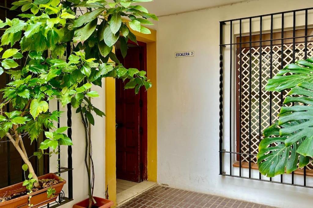 Apartamento Kenza قرطبة المظهر الخارجي الصورة